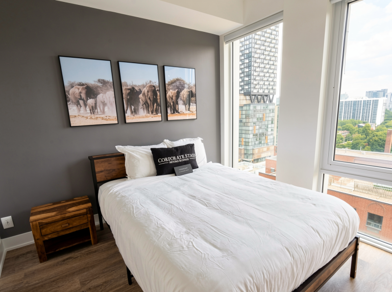 Furnished 2 Bedroom Apartment in Toronto